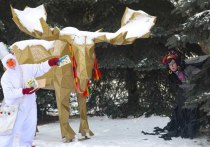 Резиденция Деда Мороза откроется с 16 декабря в областном дендрологическом саду, сообщили в пресс-службе&nbsp;управления по охране животного мира