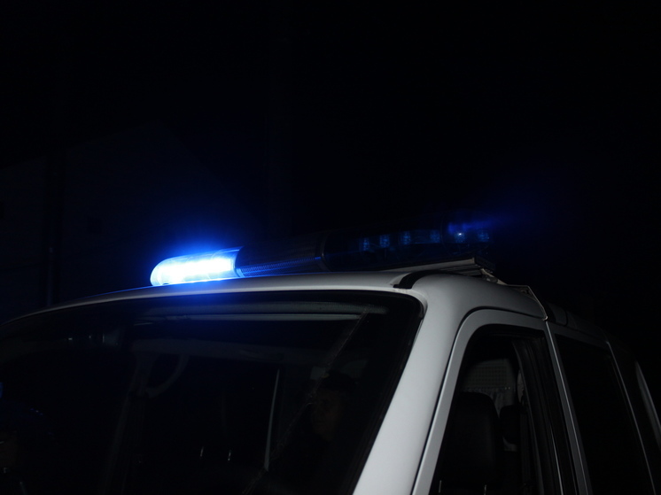Беглянок из детдома в Зеленогорске нашли полицейские