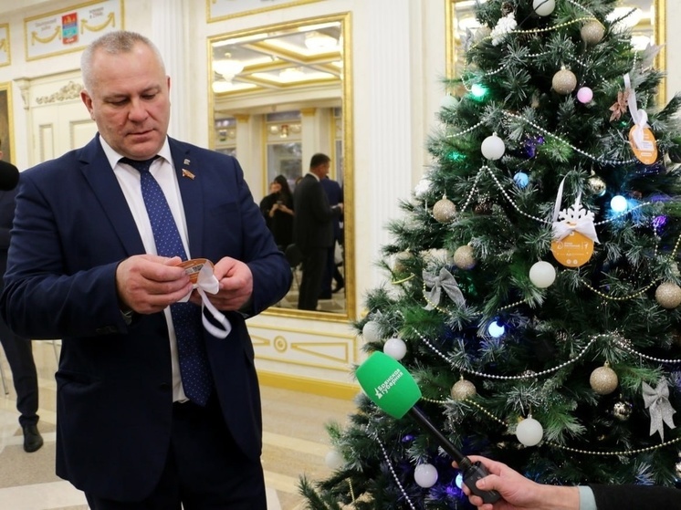 Спикер Брянской облдумы исполнит новогодние мечты двух ребят