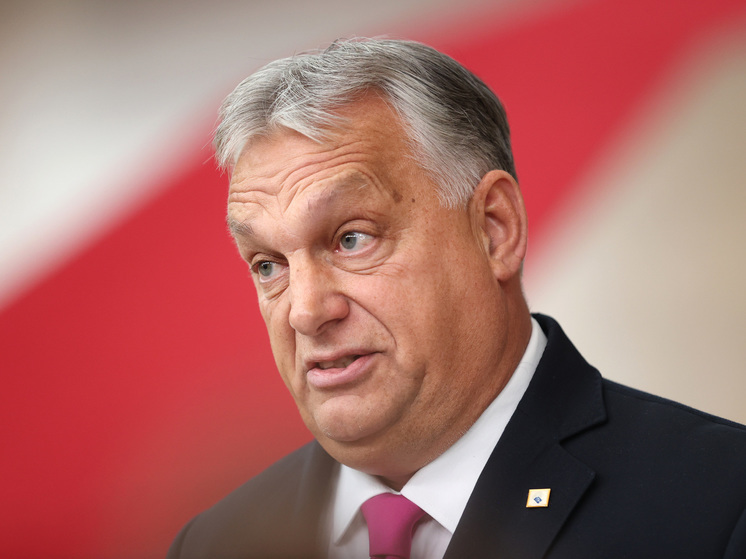 Орбан раскрыл детали разговора с Зеленским в Аргентине