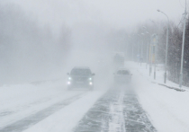В Ярославской области ожидают приход мощного снежного циклона «Ваня»