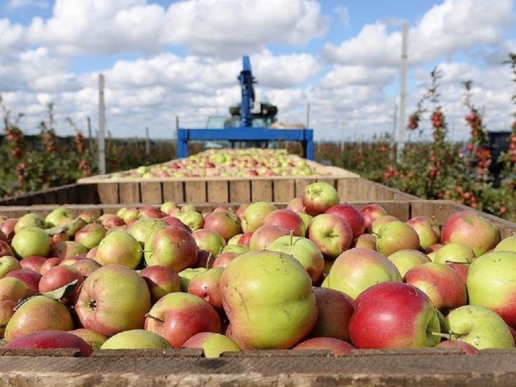 Ставропольская продукция поставляется в 103 страны