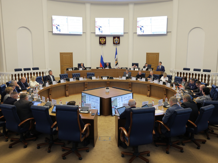 Более 160 законов приняли в Новгородской области в 2023 году