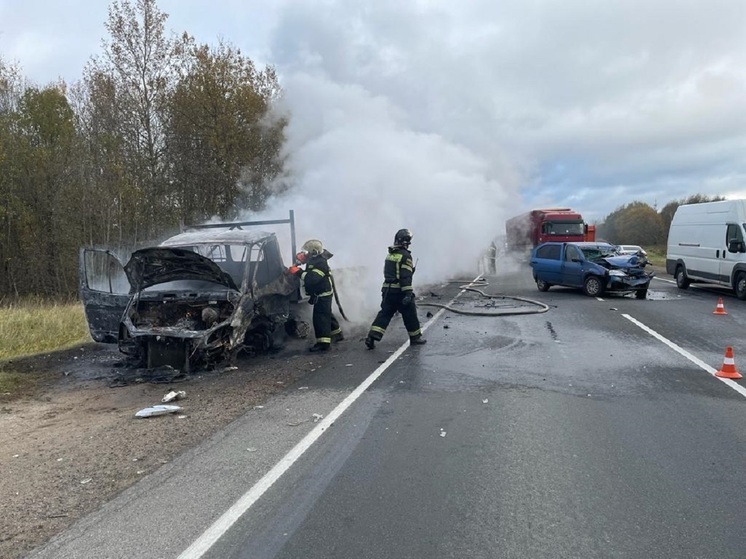 В Смоленском районе возбуждено уголовное дело по факту дорожно-транспортного происшествия, в котором пострадал водитель автомобиля