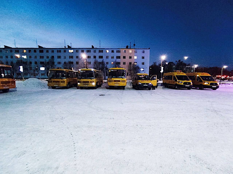 Состояние школьных автобусов перед праздниками проверили в Кольском районе