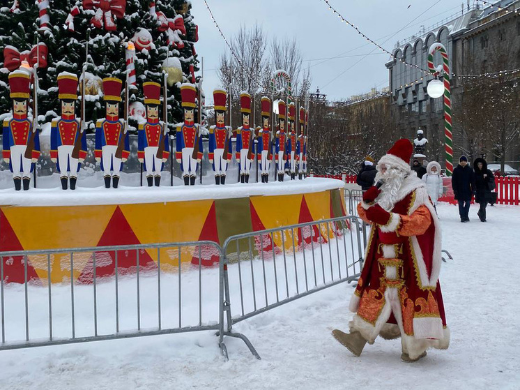 Праздник с доставкой на дом: во сколько петербуржцам обойдется заказ Деда Мороза и Снегурочки