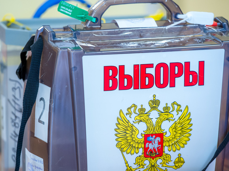 Тон избирательной кампании задаст прямая линия Владимира Путина