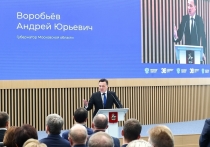 В ходе конференции в региональном Доме правительства в Красногорске Андрей Воробьев обратился к представителям власти