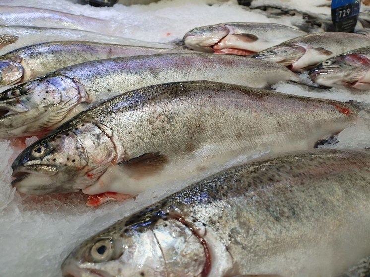 Экспорт рыбной продукции из Калининграда снизился на треть