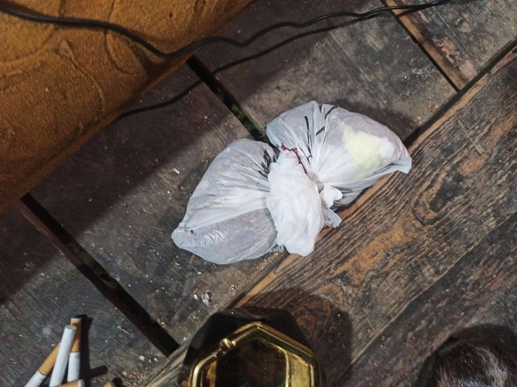 В Кызыле мойщик ковров хранил на работе наркотики и краденые смарт-часы