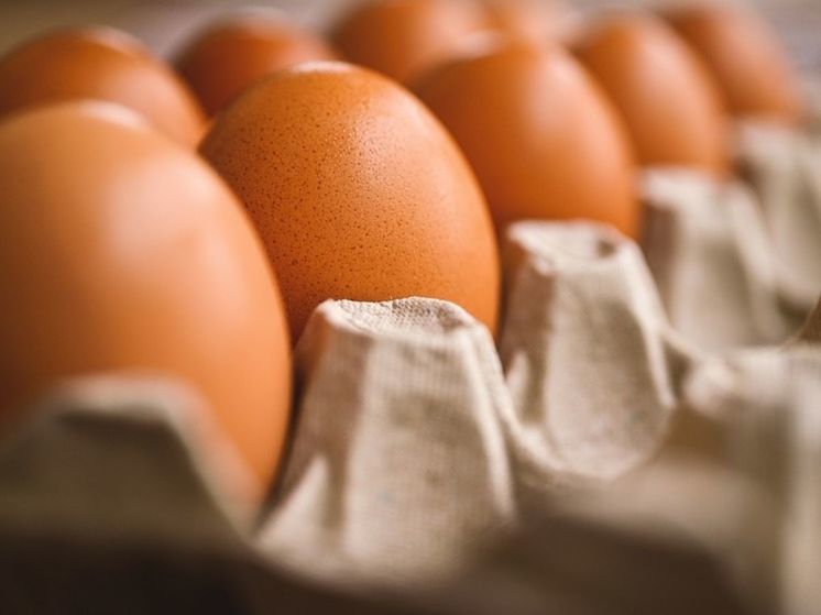 Росстат: подорожание куриных яиц снова ускорилось