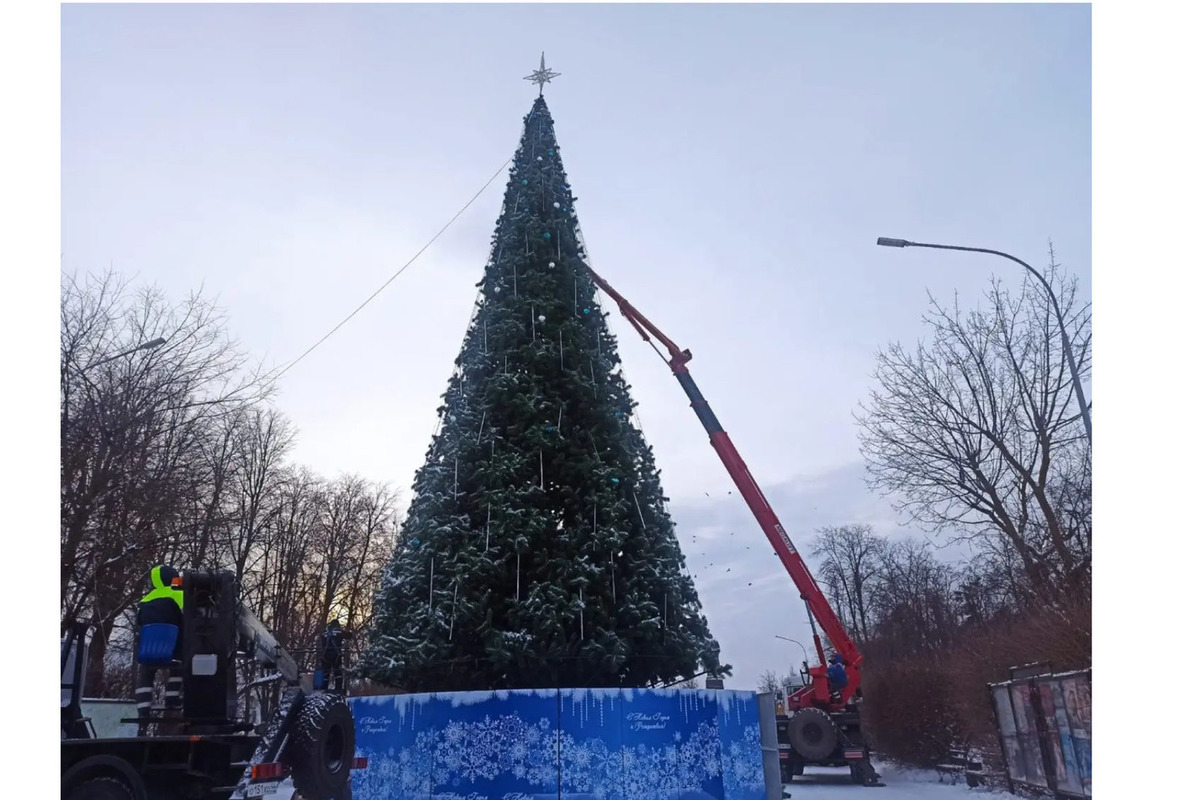 Новое место установки главной новогодней елки Костромы понравилось горожанам и Яндексу