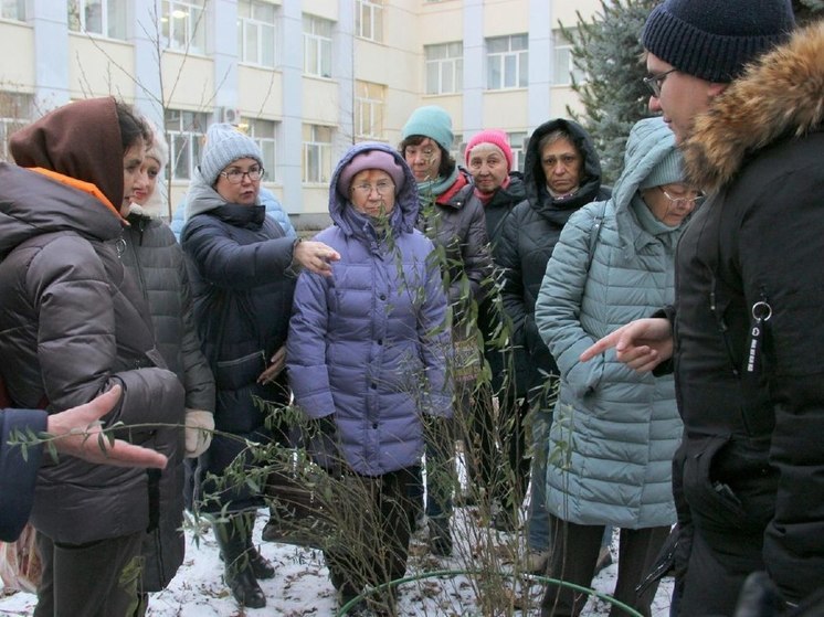 Экскурсии по Аптекарскому саду Тюменского медуниверситета пользуются популярностью