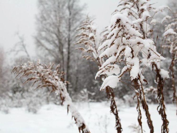 Мощный снегопад в Подмосковье начнется уже сегодня вечером