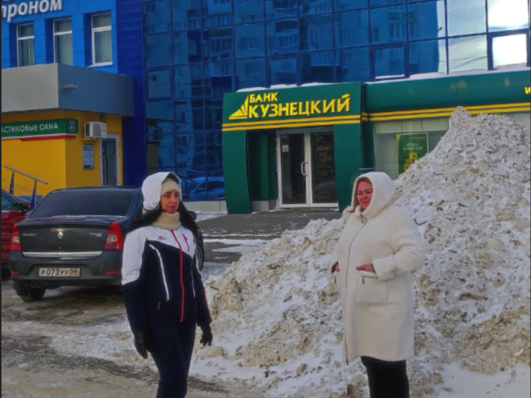 Пензенские организации проверили на предмет уборки снега с территорий