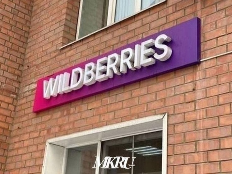 Логистический хаб Wildberries начнут строить в Забайкалье весной 2024 года