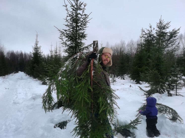 Жителям Подмосковья предложили самостоятельно срубить новогоднюю ель