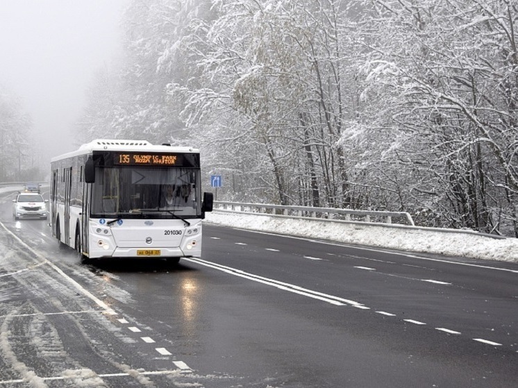 В горном кластере Сочи запустят дополнительные автобусы в новогодние праздники