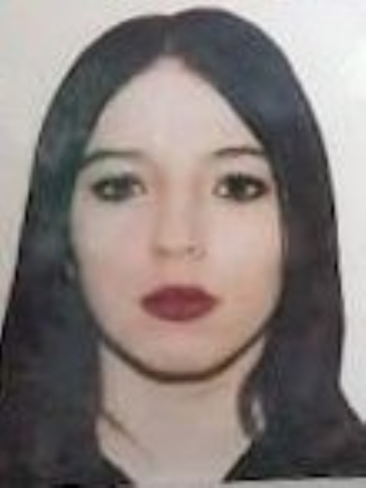 Пропажей в Тверской области 14-летней девочки заинтересовался СК
