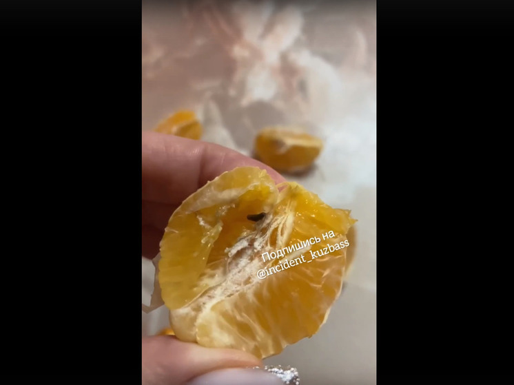 Жительница Кемерова обнаружила в мандаринах живность