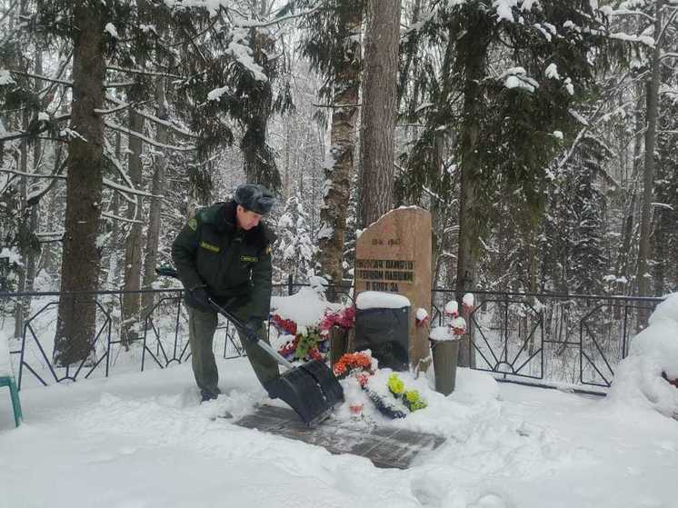 Лесничие региона привели в порядок место захоронения боевых летчиков