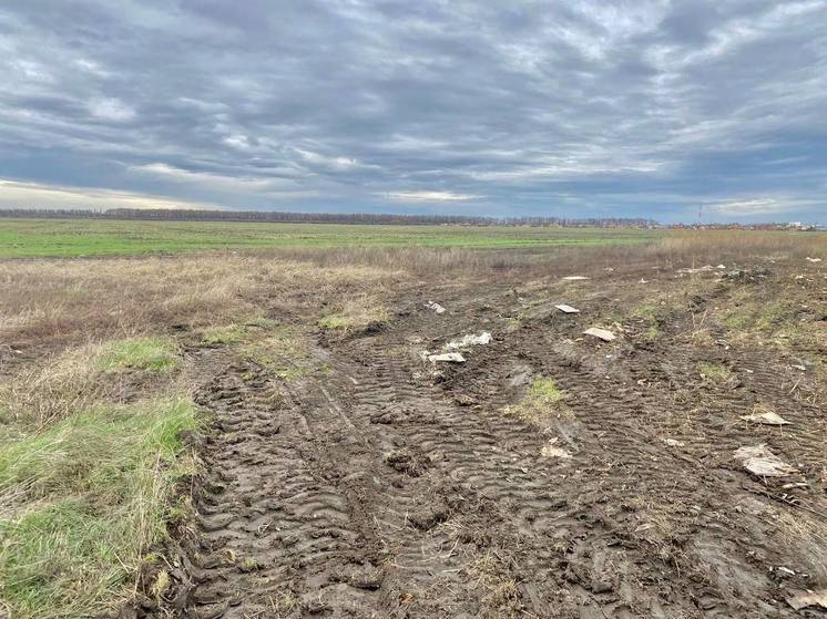 В столице Кубани с начала года устранили 217 свалочных очагов
