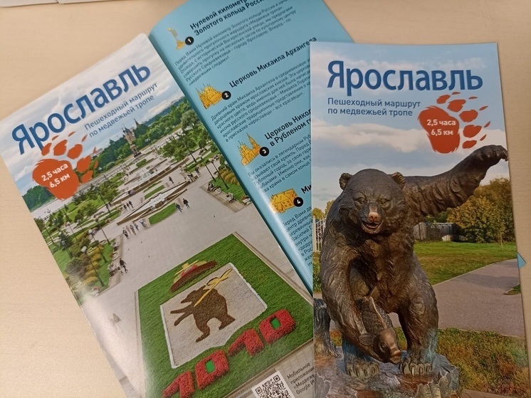 В Ярославской области развивается «Медвежья тропа»