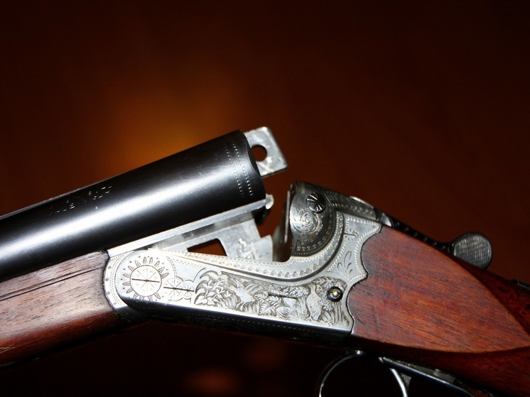 Житель Беломорска незаконно изготовил обрез и получил условку