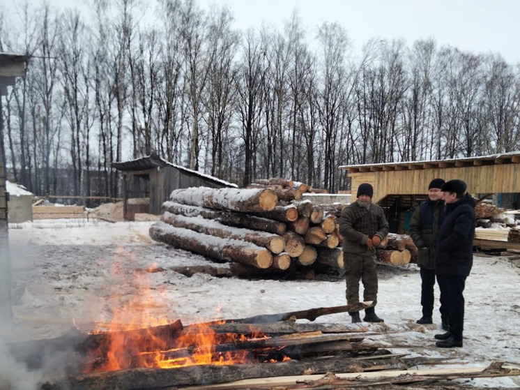 На улице Крылова в Йошкар-Оле сжигали древесину на открытом огне