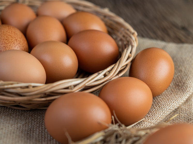 Путин назвал рост цен на яйца в Красноярске «сбоем в работе правительства»