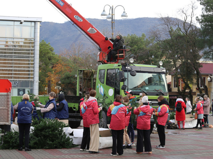 В Геленджике неравнодушные граждане объединились для установки новогодней елки