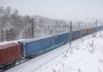 На Свердловской железной дороге с января по ноябрь было перевезено 405,3 тысяч контейнеров ДФЭ (TEU)