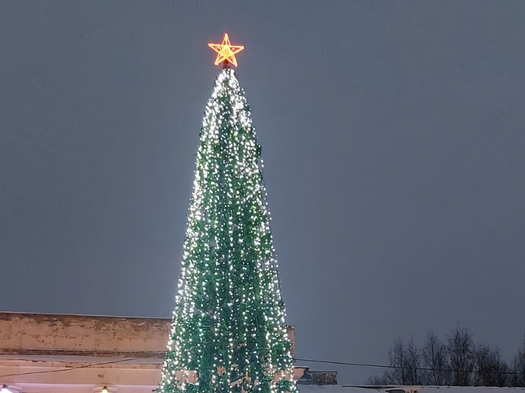 В Северном округе Архангельска установят три новогодних елки