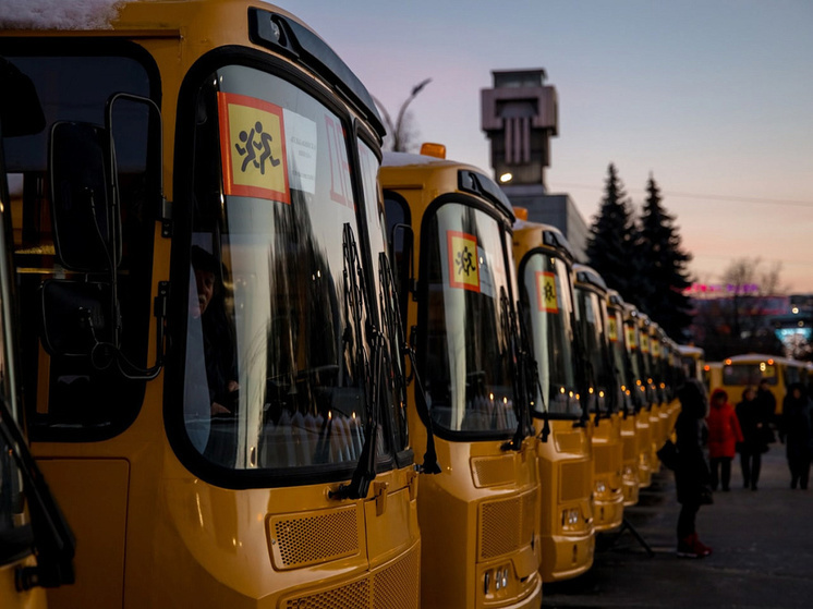 Из-за метели в Курской области 15 декабря запретили выезд школьных автобусов