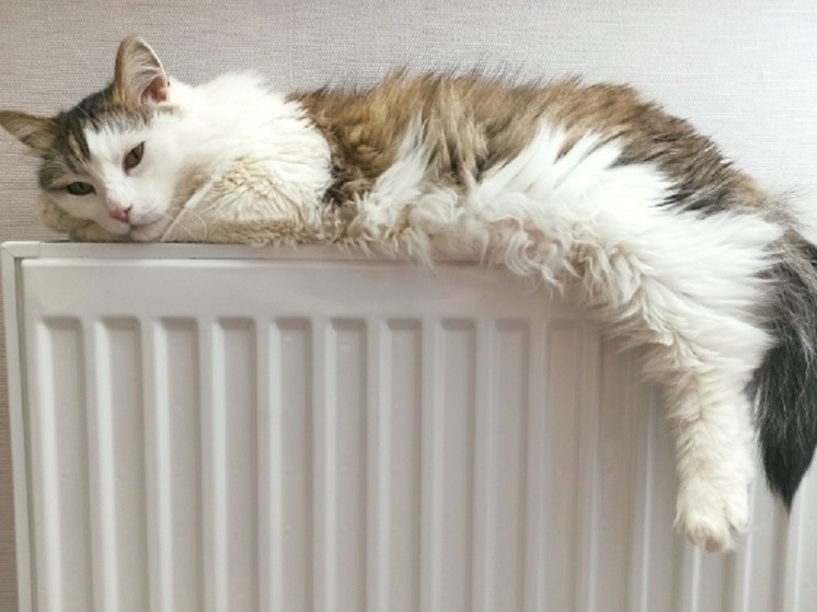 В Знаменске Астраханской области работают над возобновлением подачи тепла в дома