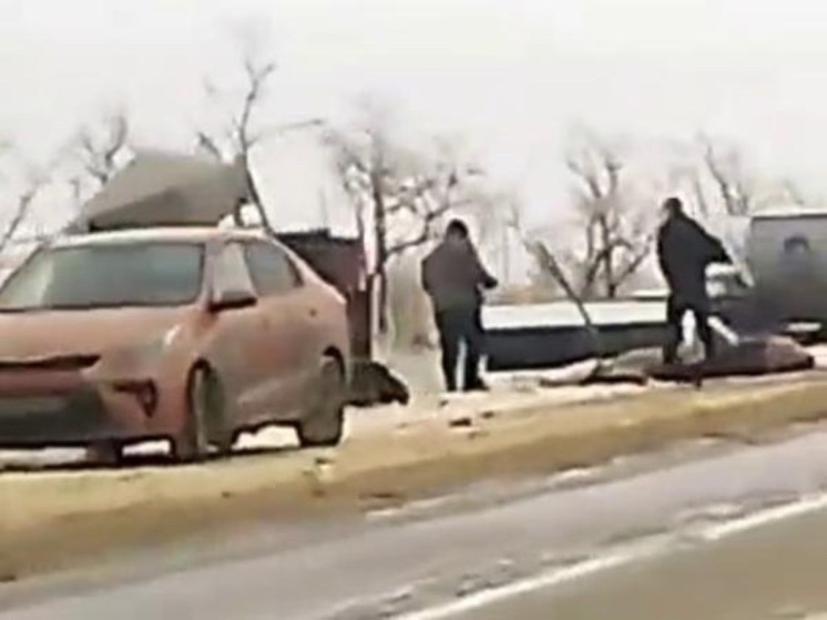 Две лошади в Ростовской области погибли в ДТП с фурой