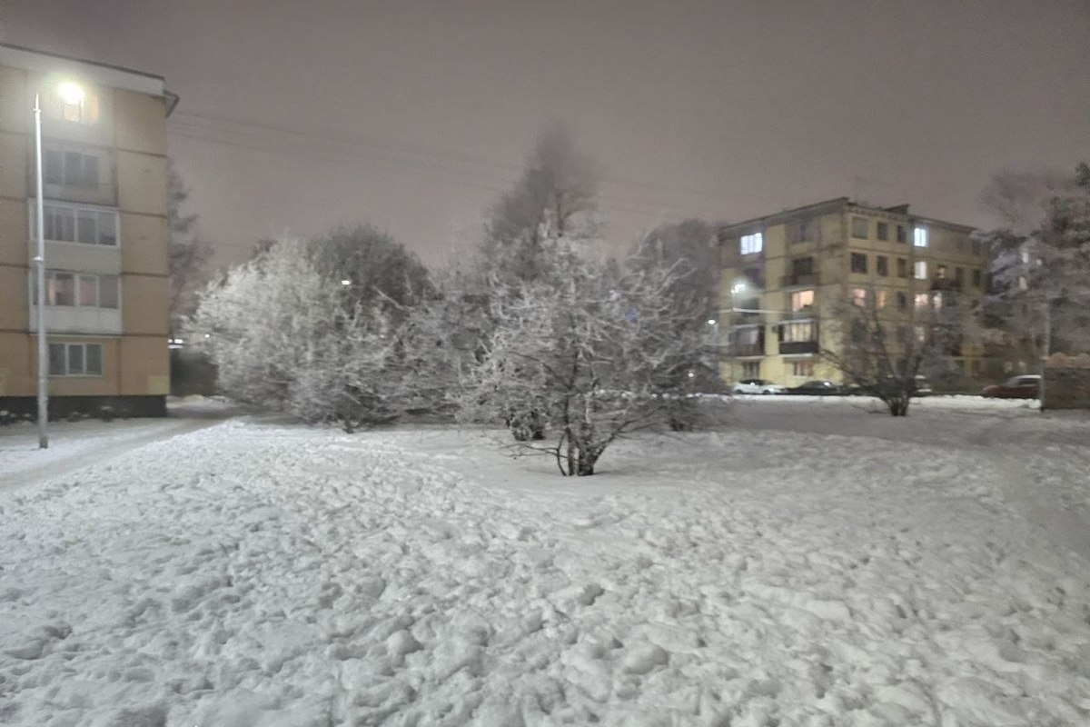 Жителям Ленобласти пообещали снег и до -12 градусов в ночь на 15 декабря