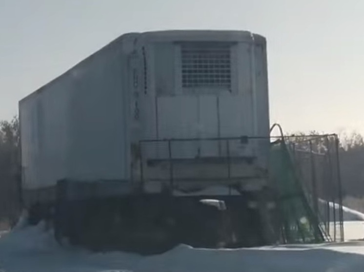 Под Челябинском детям приходится ходить в школу мимо ревущих львов