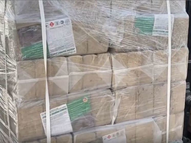 Из Орловской области в зону СВО отправили тысячу упаковок супов и медикаменты