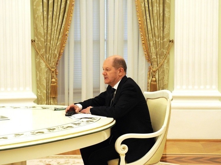 Читатели Die Welt пришли в шок от обращения Шольца к Путину