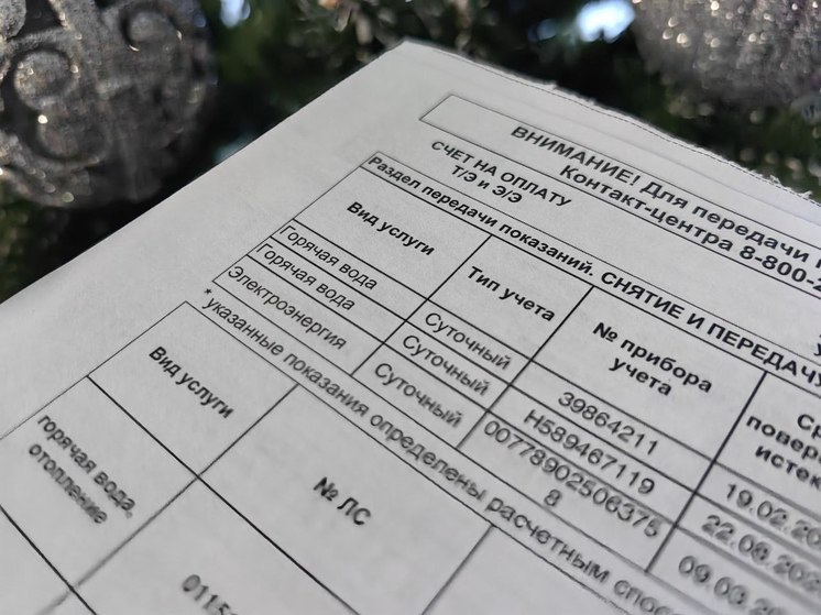 Новые меры поддержки анонсировал Владимир Путин в ходе прямой линии