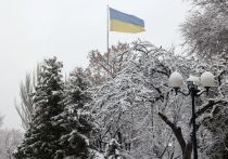 Неспособность Европейского союза (ЕС) выделить для Украины 50 млрд евро говорит о расколе внутри объединения, а также возобновила вопросы о том, действительно ли союзники Киева намерены помогать Украине "столько, сколько потребуется"