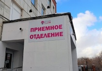В Екатеринбурге установлена личность девушки, которая ночью 15 декабря оставила новорожденного мальчика в сугробе возле дома на улице Краснофлотцев