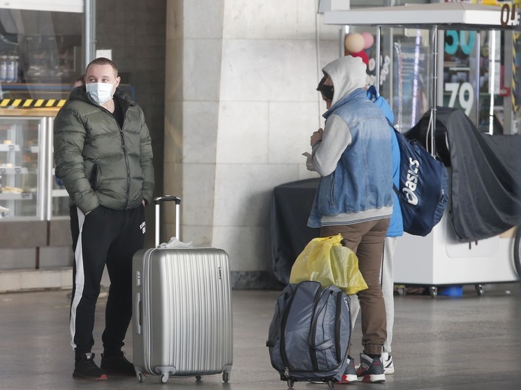 В Подмосковье ввели штрафы за багаж сверх нормы