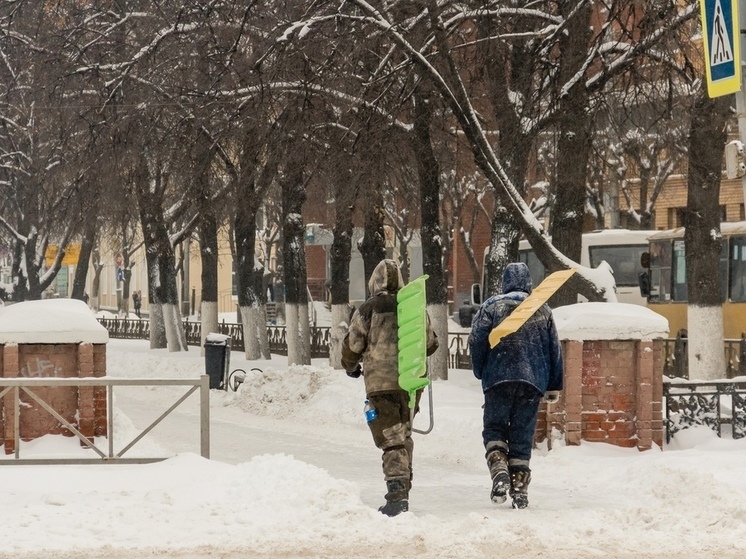 В Рязани 68% горожан назвали адом ситуацию с уборкой снега во дворах