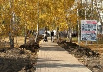 Четыре территории благоустроят в Омске по федеральному проекту «Формирование комфортной городской среды» в наступающем году