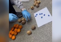 Полицейские Красноярска задержали жителя правого берега, который прятал наркотики в картофель и мандарины для распространения в виде закладок