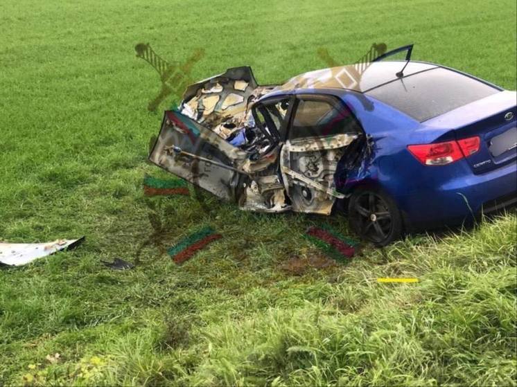 В автокатастрофе в Выселковском районе погиб водитель и пострадали 3 пассажира