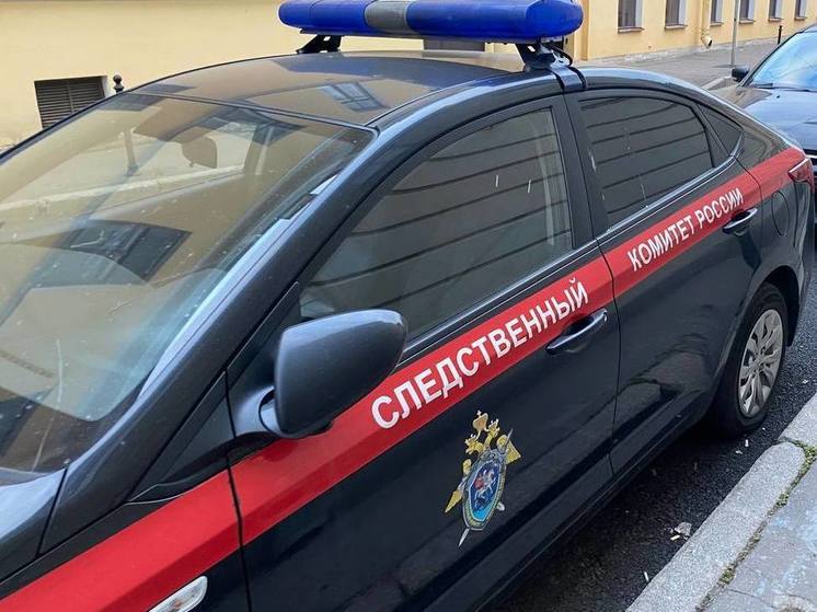 В Сланцевском районе задержали трех ленинградцев, подозреваемых в смертельном избиении мужчины