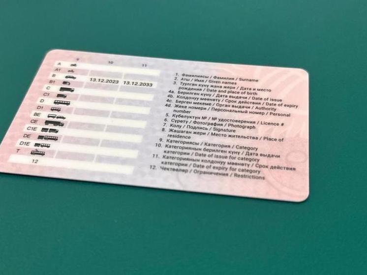 Кыргызстанцы потеряли в России больше 5000 водительских удостоверений